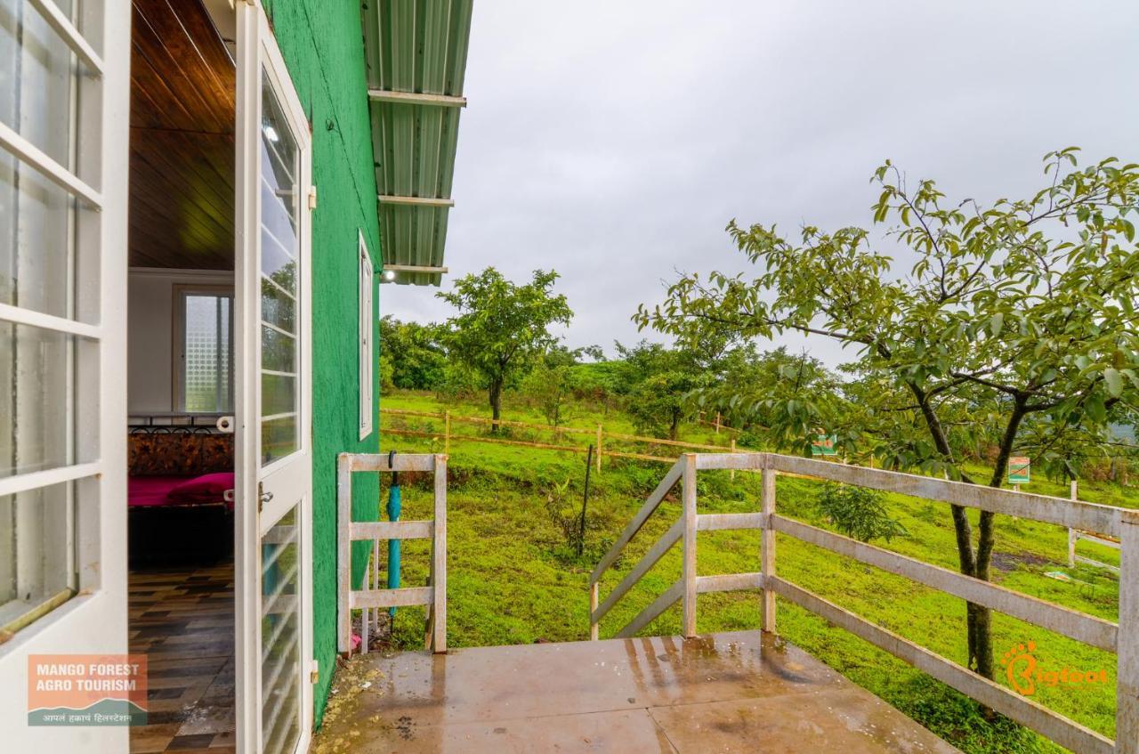 Mango Forest Resort